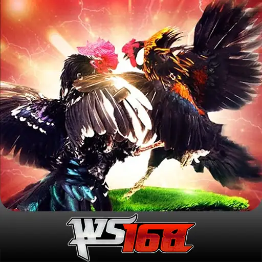 WS168